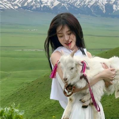 武器的选择海报