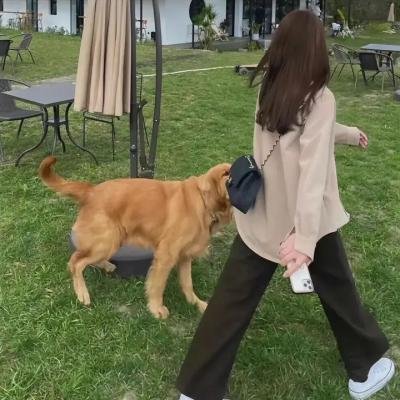 鬼灭之刃锻刀村篇海报
