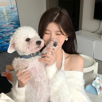 篝火晚会海报